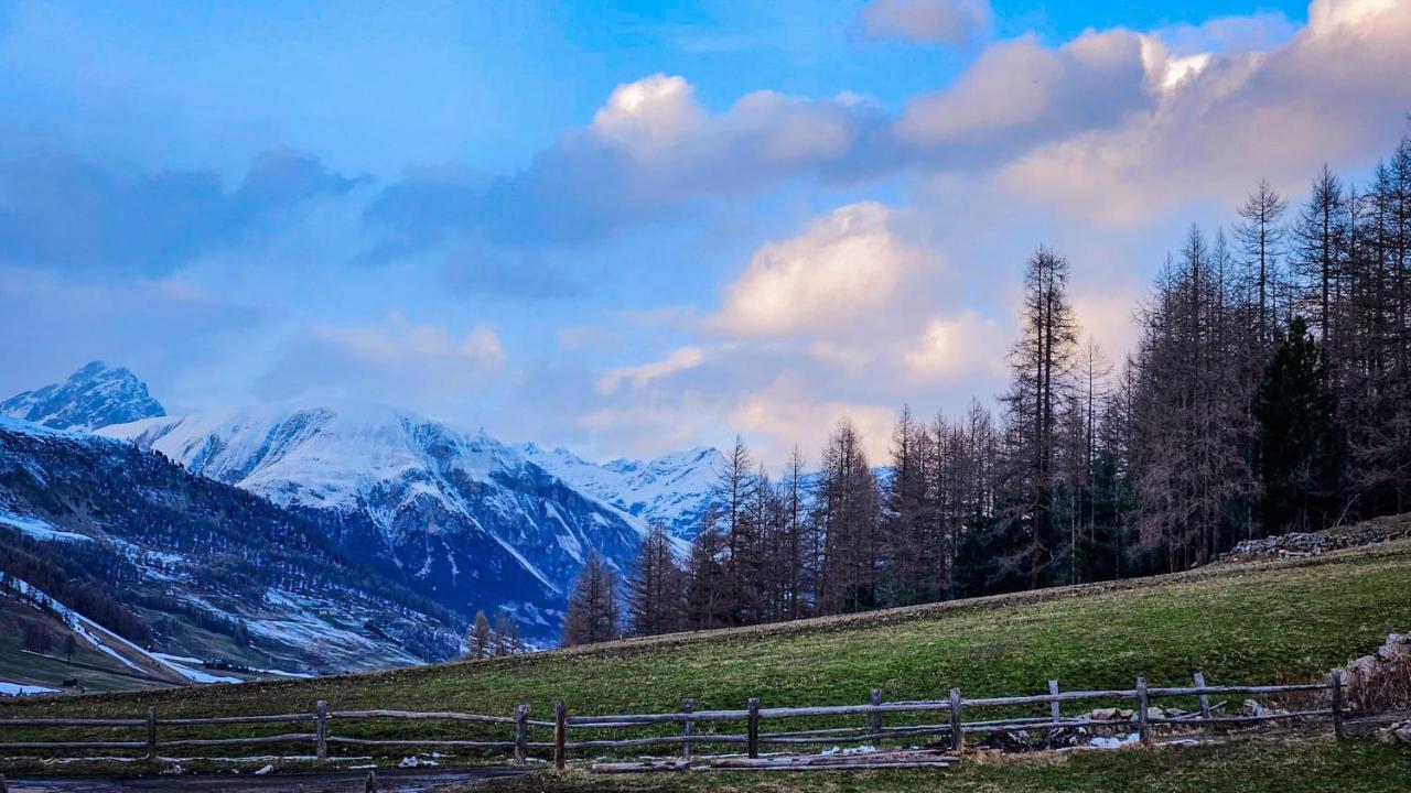 リヴィーニョAgriturismo Bosco D'Oro 1アパートメント エクステリア 写真