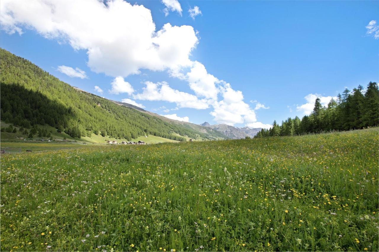 リヴィーニョAgriturismo Bosco D'Oro 1アパートメント エクステリア 写真